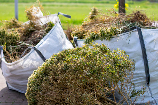 Best Junk Removal Near Me  in Hillcrest, NY