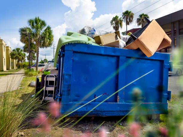 Yard Cleanup Services in Hillcrest, NY